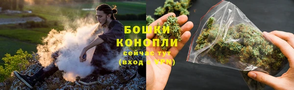 ГАЛЛЮЦИНОГЕННЫЕ ГРИБЫ Вязьма