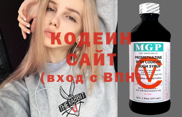 прущие грибы Вяземский