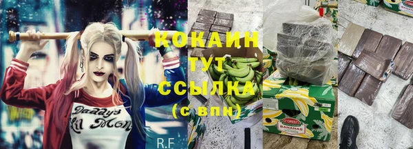 прущие грибы Вяземский