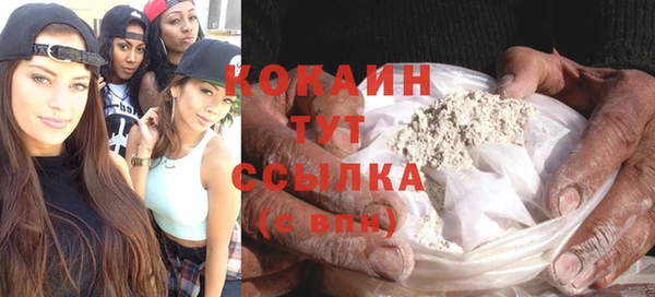 прущие грибы Вяземский