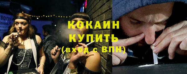 ГАЛЛЮЦИНОГЕННЫЕ ГРИБЫ Вязьма