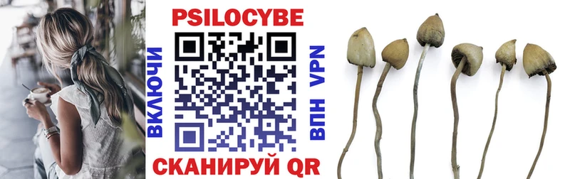 наркошоп  Тюмень  Галлюциногенные грибы мухоморы 